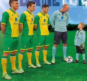 Maillot Domicile Norwich City 2013-2014 Errea – Taille L, Jaune, état Très Propre