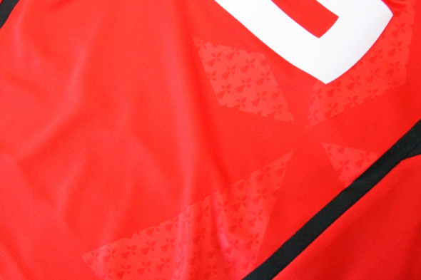 Ermine Pattern Rennes