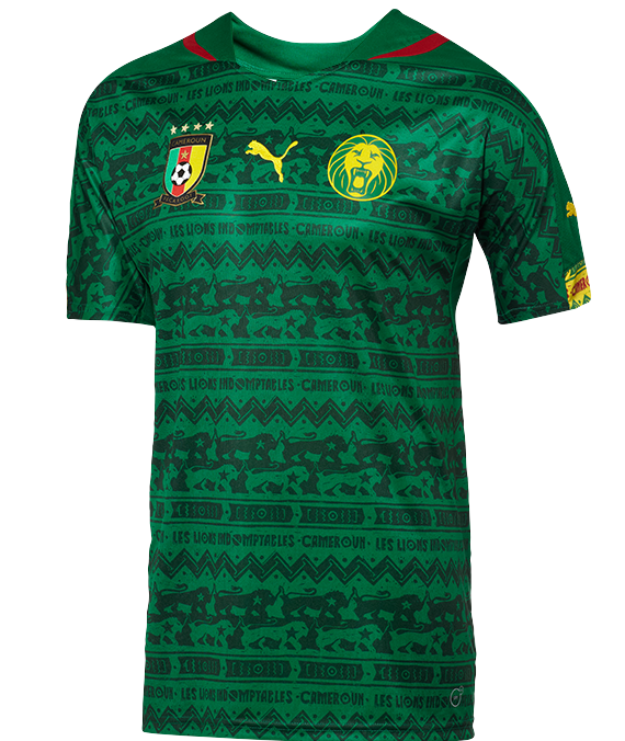 New Cameroon World Cup 2014 Shirt- Puma 