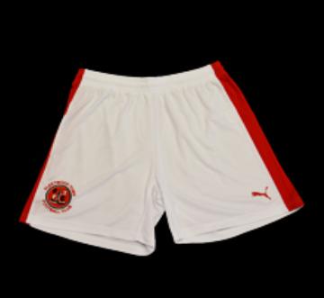 Fleetwood Town Shorts 15 16
