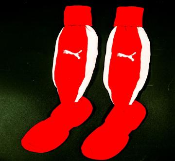 Fleetwood Town Socks 15 16