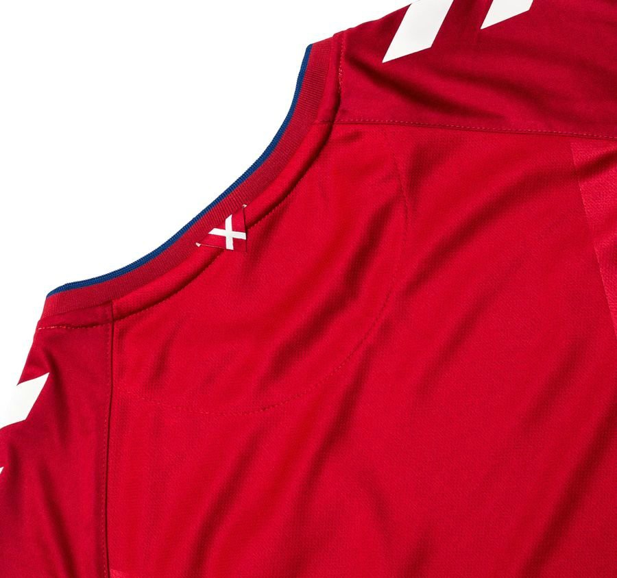 Back of Denmark WC Shirt 2018