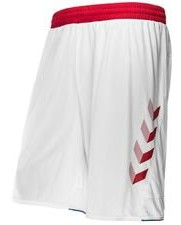 Denmark Home Shorts