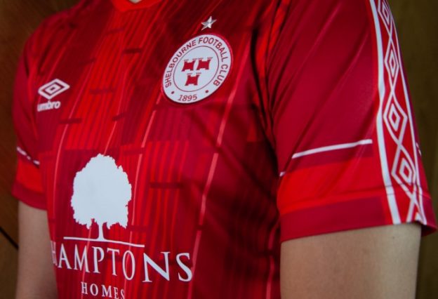 Hamptons Homes Shelbourne FC Shirt 2022