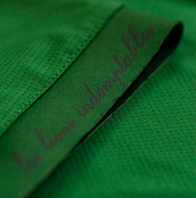 Indomitable Lions Cameroon