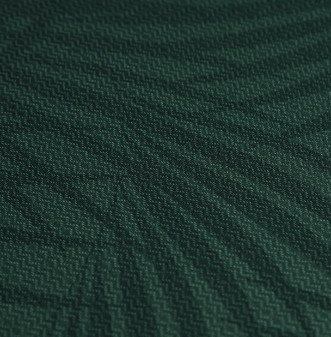Closeup of Palmeiras Shirt Design 2022