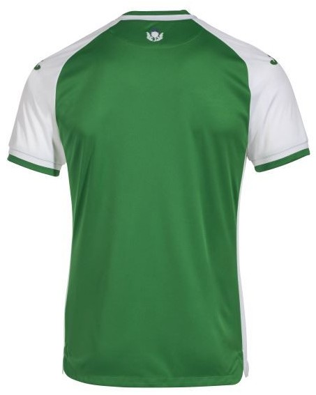 Back of Hibs Home Shirt 22-23